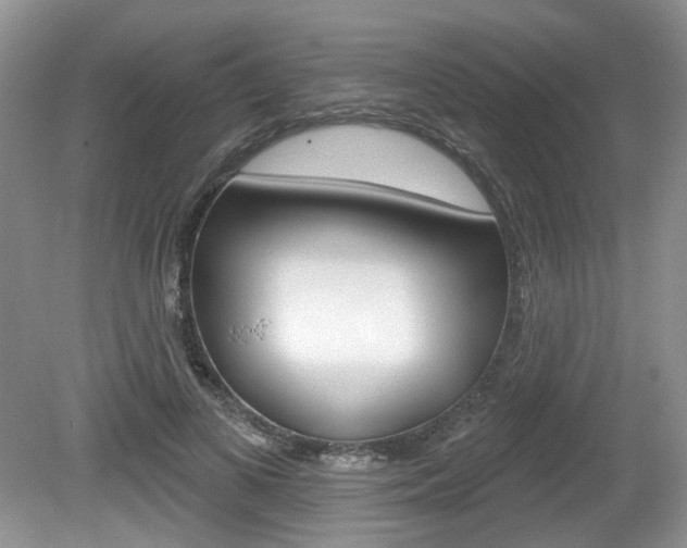 X0000080180693200612081134