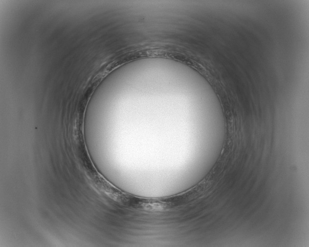 X0000080180698200612081134