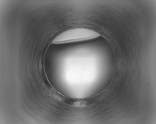 X0000080180700200612081134
