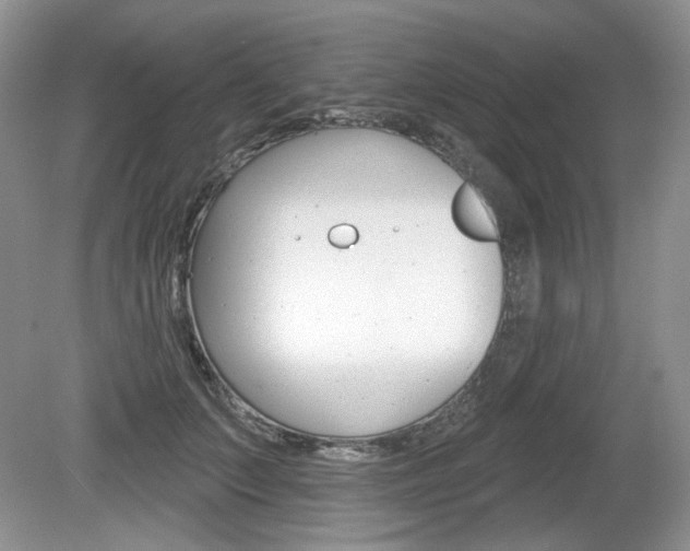 X0000080180703200612081134