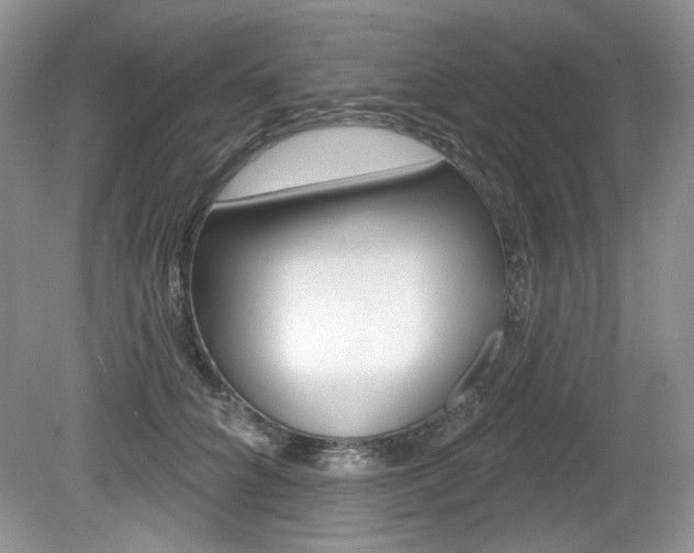X0000080180704200612081134