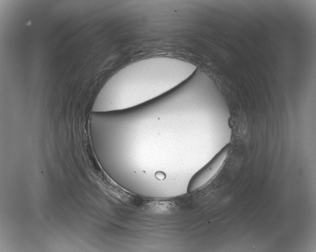 X0000080180711200612081134