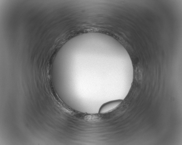 X0000080180714200612081134