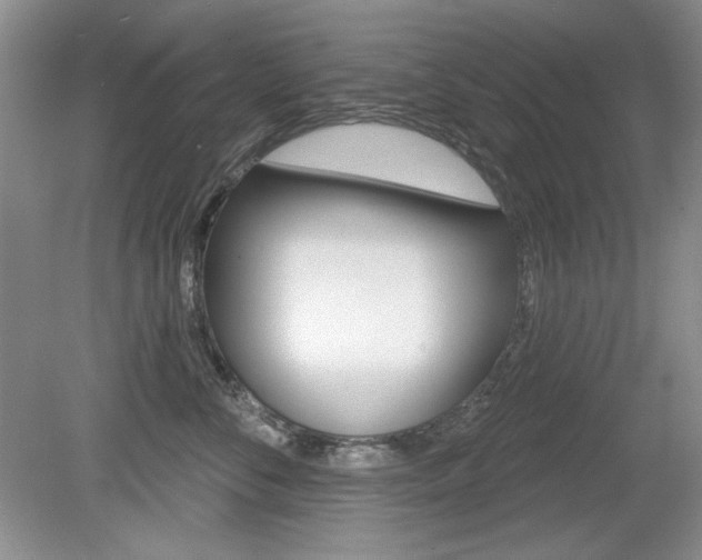 X0000080180716200612081134