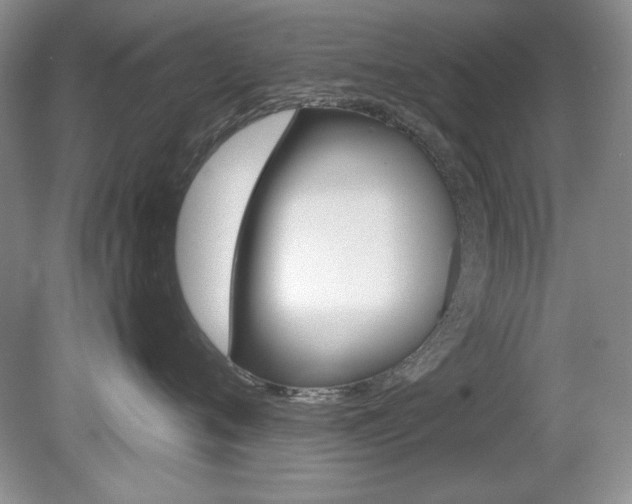 X0000080180720200612081134