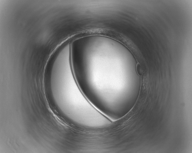 X0000080180722200612081133