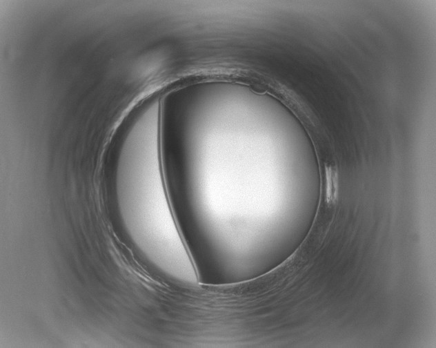 X0000080180723200612081133