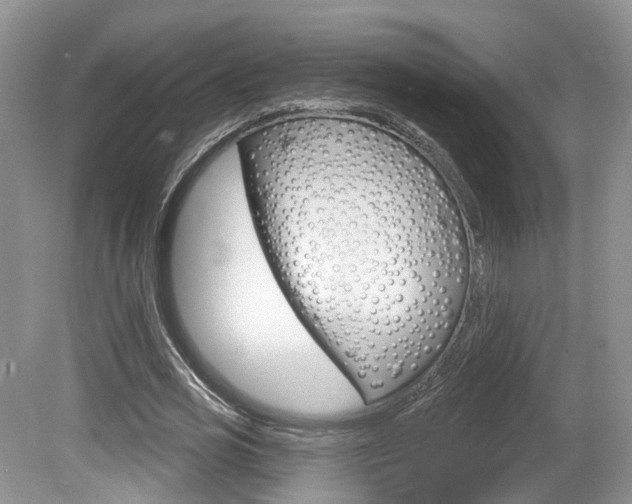 X0000080180725200612081133