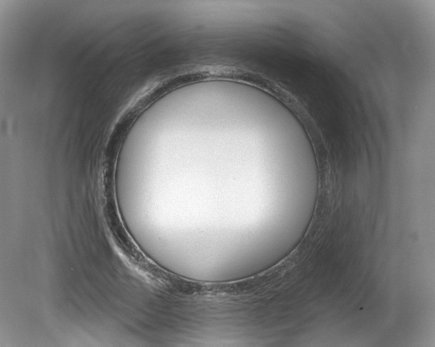 X0000080180730200612081133