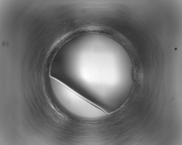 X0000080180732200612081133
