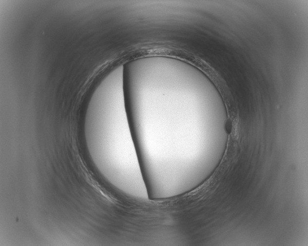 X0000080180733200612081133