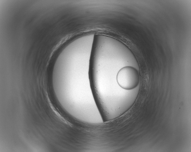 X0000080180734200612081133