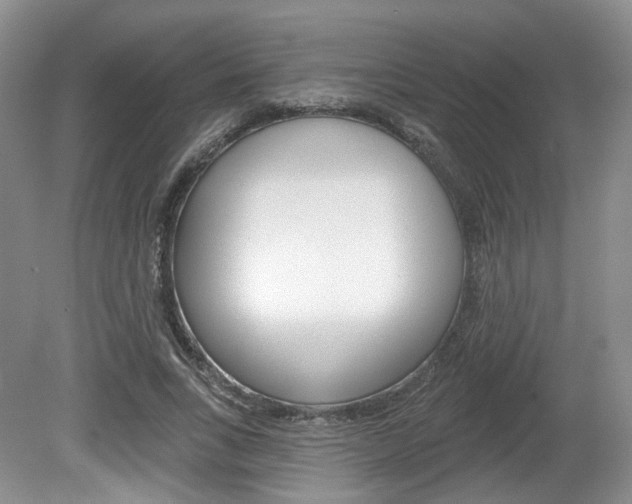 X0000080180735200612081133
