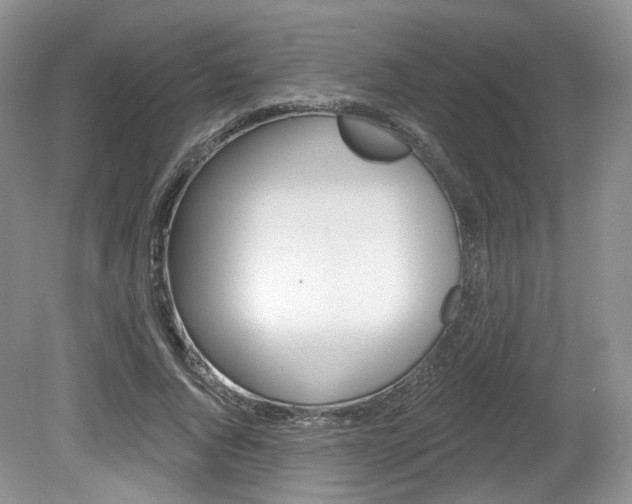 X0000080180736200612081133