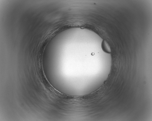 X0000080180743200612081133