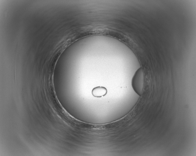X0000080180744200612081133