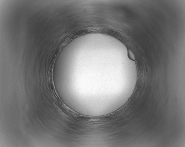 X0000080180749200612081133