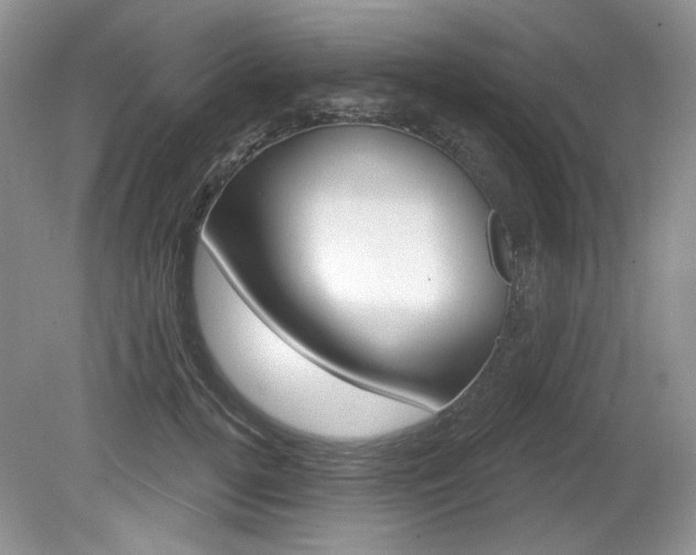 X0000080180752200612081133