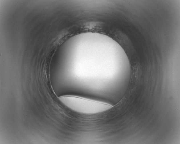 X0000080180754200612081133