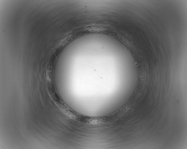X0000080180755200612081133