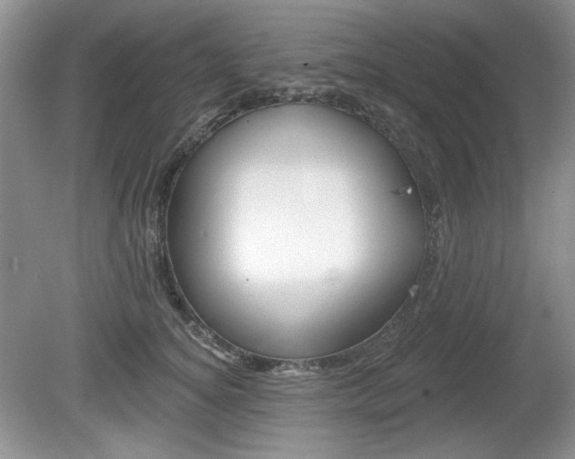 X0000080180756200612081133