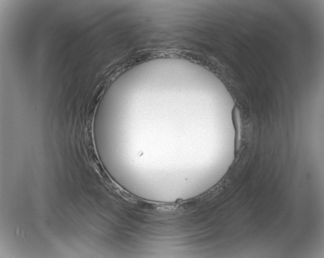 X0000080180757200612081133