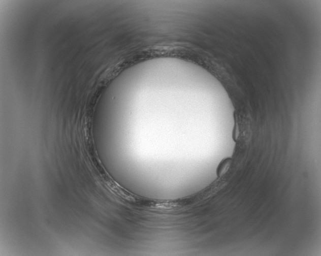 X0000080180758200612081133