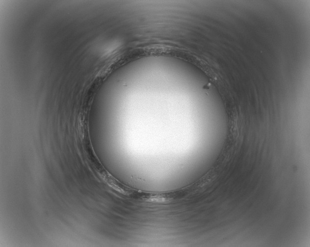 X0000080180759200612081134