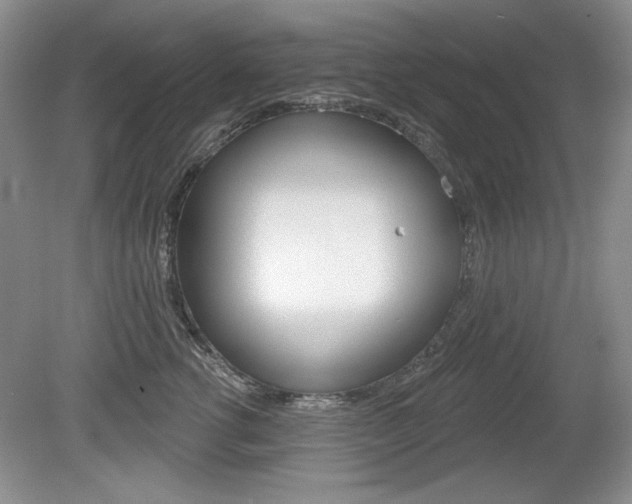 X0000080180762200612081134