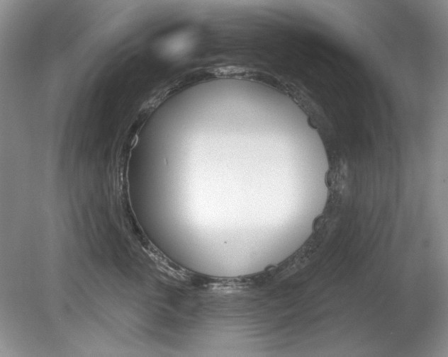 X0000080180763200612081134