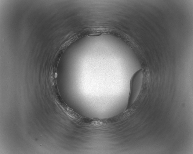 X0000080180764200612081134