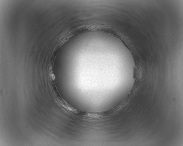 X0000080180766200612081134