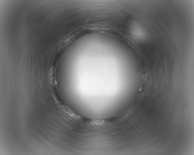 X0000080180767200612081134