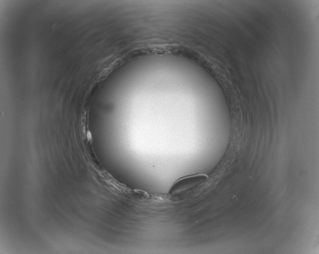 X0000080180768200612081134