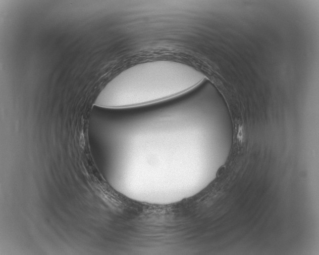 X0000080180771200612081133
