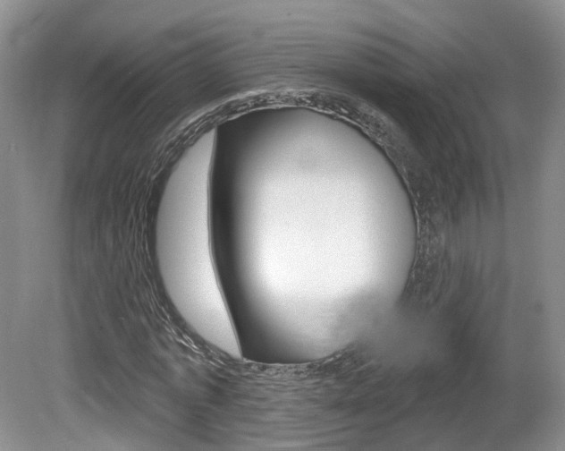X0000080180773200612081133
