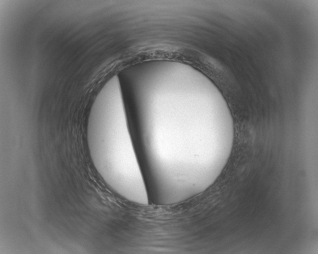 X0000080180774200612081133