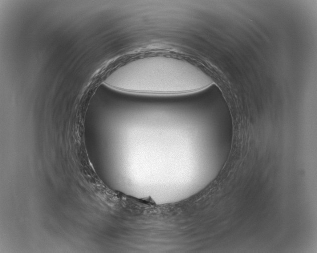 X0000080180776200612081133