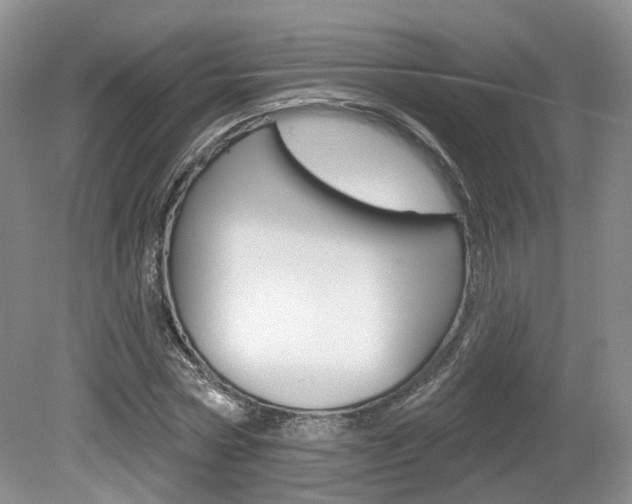 X0000080180778200612081133