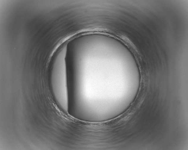 X0000080180781200612081133