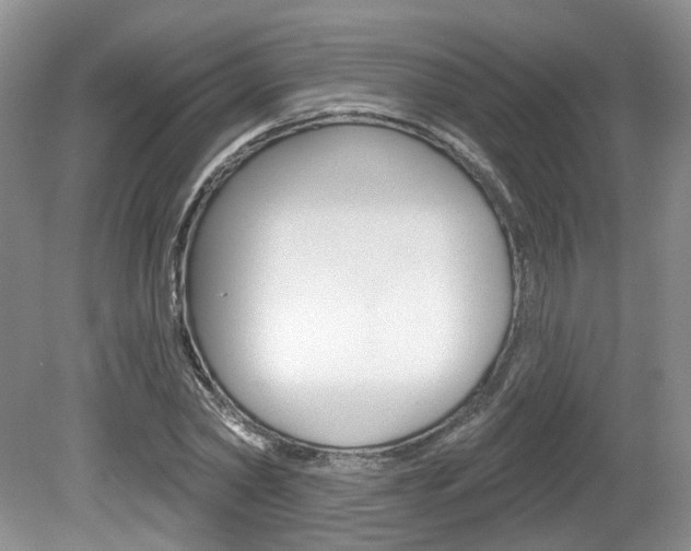 X0000080180782200612081133