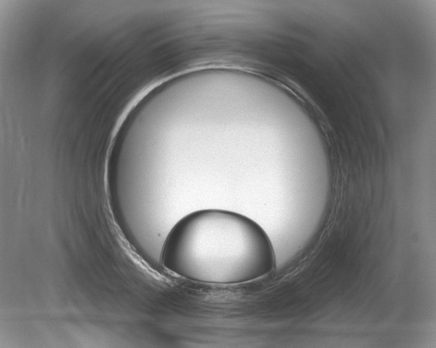 X0000080180788200612081133