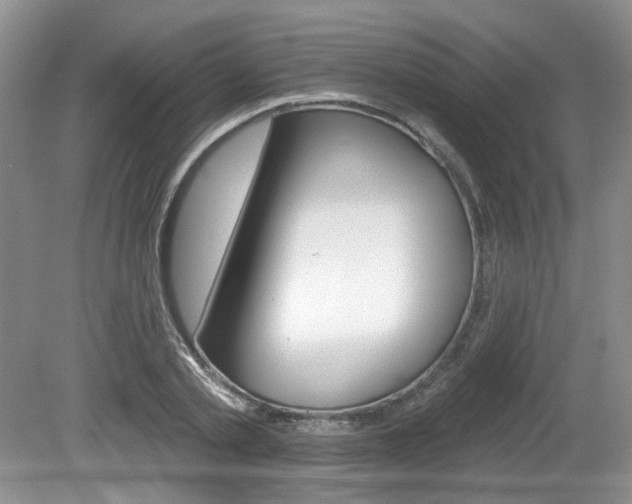 X0000080180789200612081133