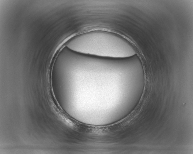 X0000080180790200612081132