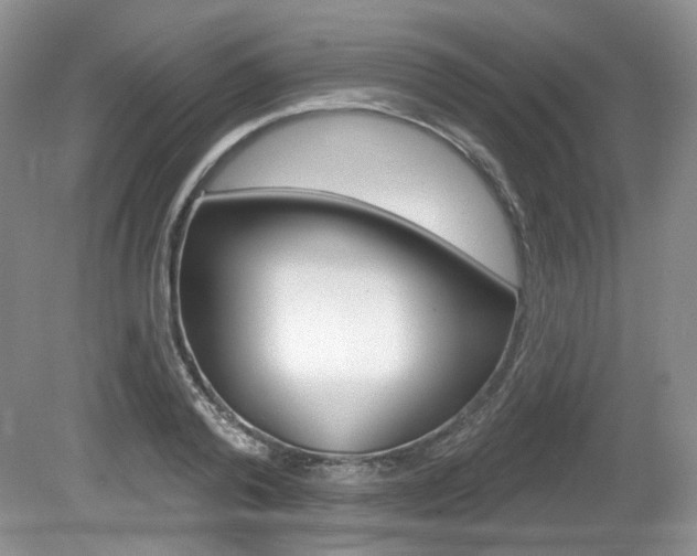 X0000080180792200612081132