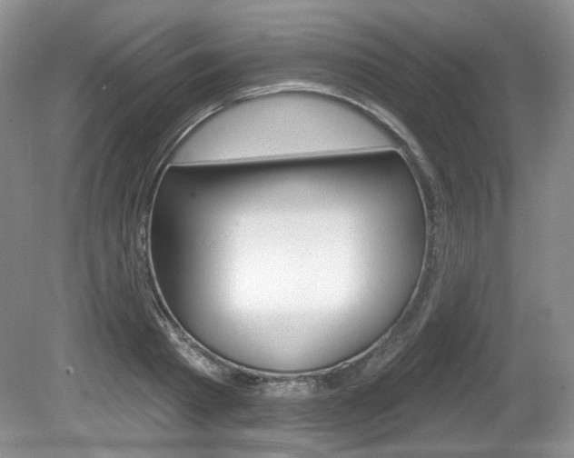 X0000080180793200612081132