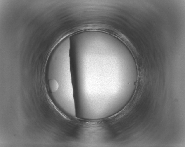 X0000080180794200612081132