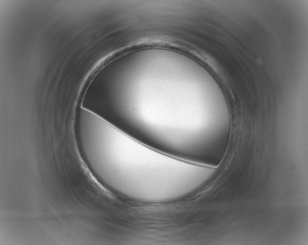 X0000080180799200612081132