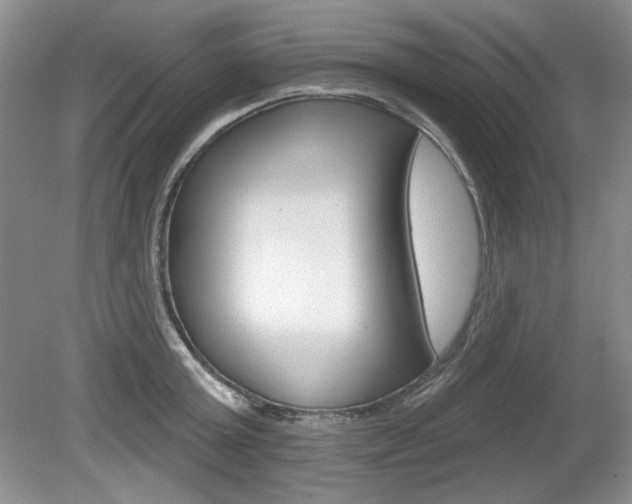 X0000080180803200612081132