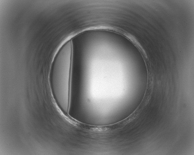X0000080180805200612081132
